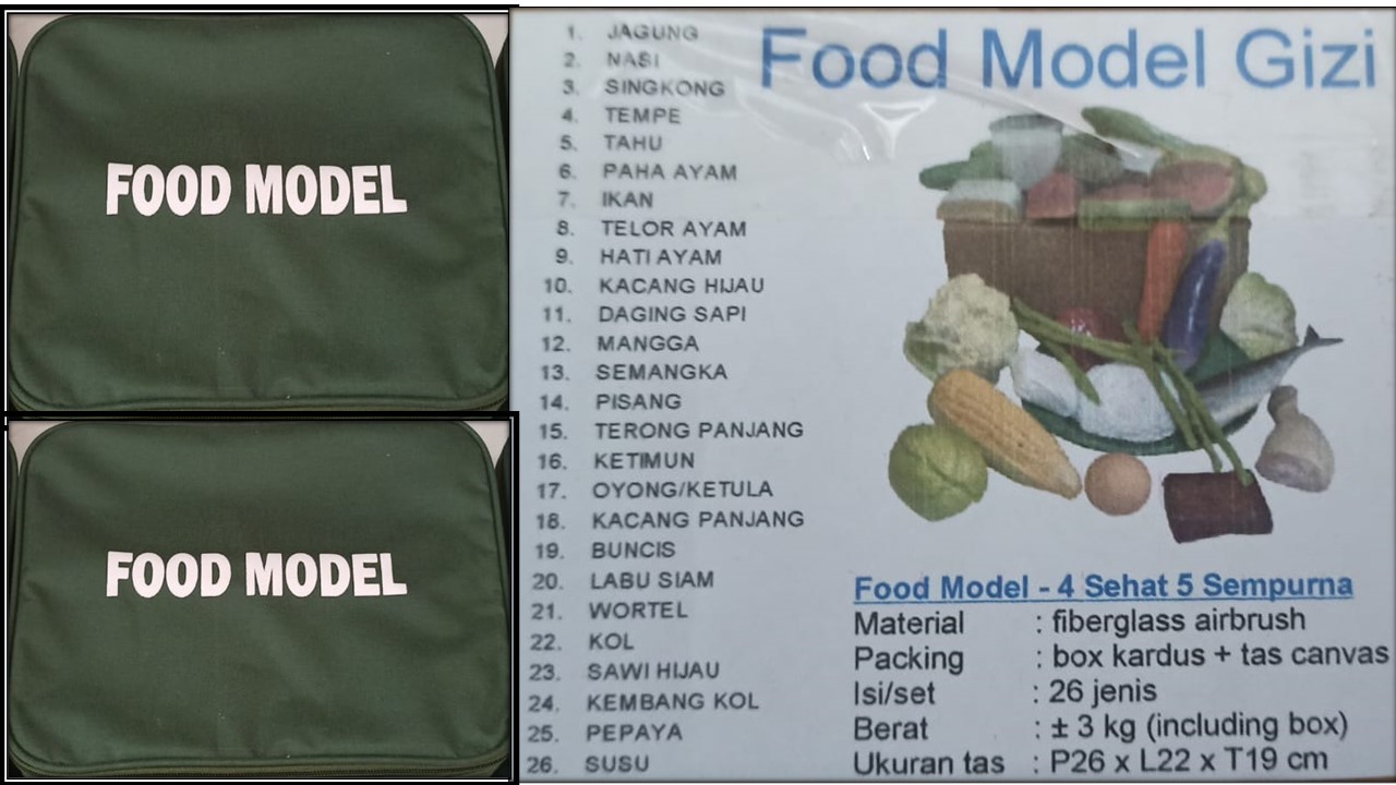FOOD MODEL Image